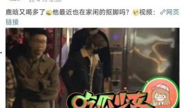 狗仔突发爆料视频下载安装,视频下载安装幕后真相大曝光