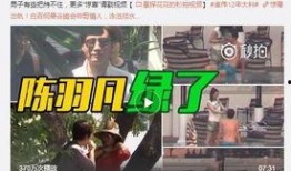 弘阳天悦最新爆料事件视频,视频揭秘惊人内幕！